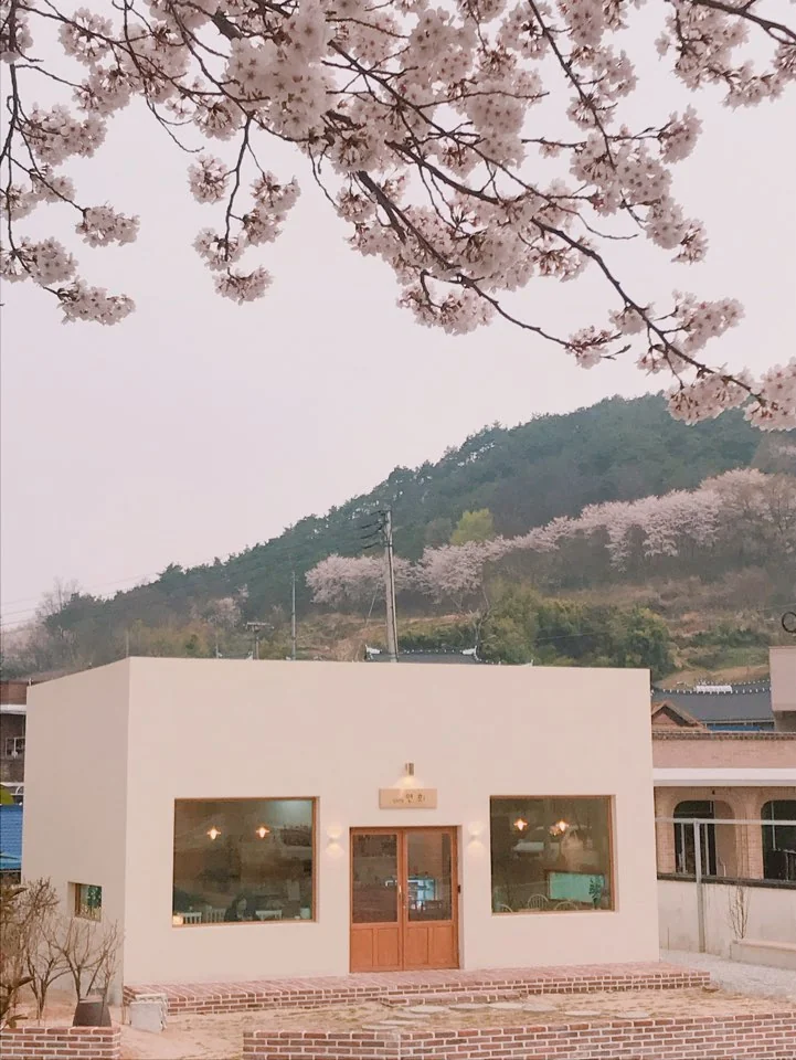 카페연희 남원시 애견카페