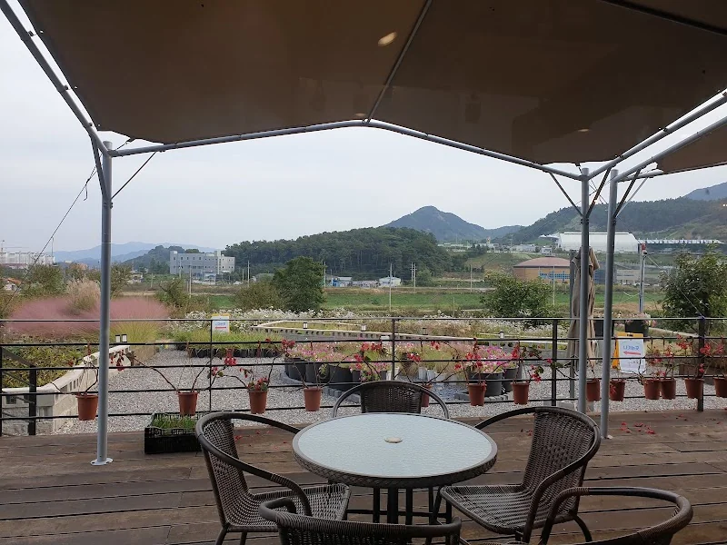 카페 자연다울수록 순창군 애견카페