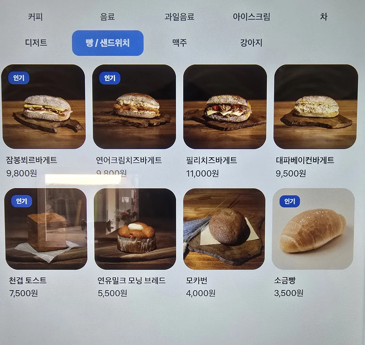 카페 속리 익산시 애견카페