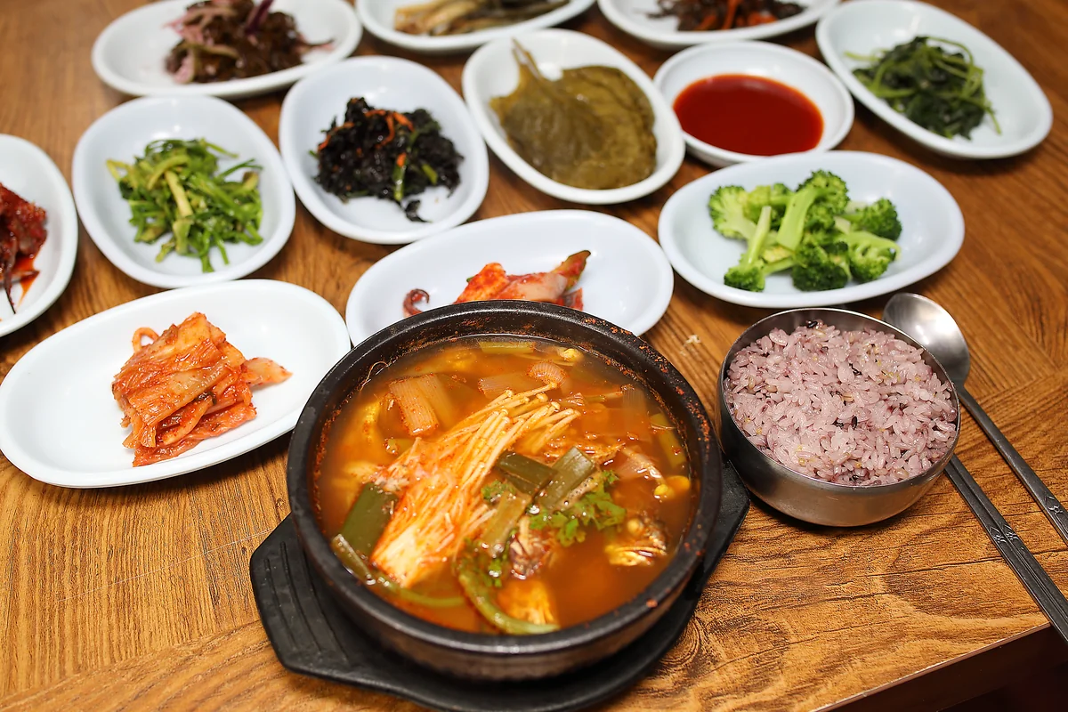 메종41 영암군 애견맛집