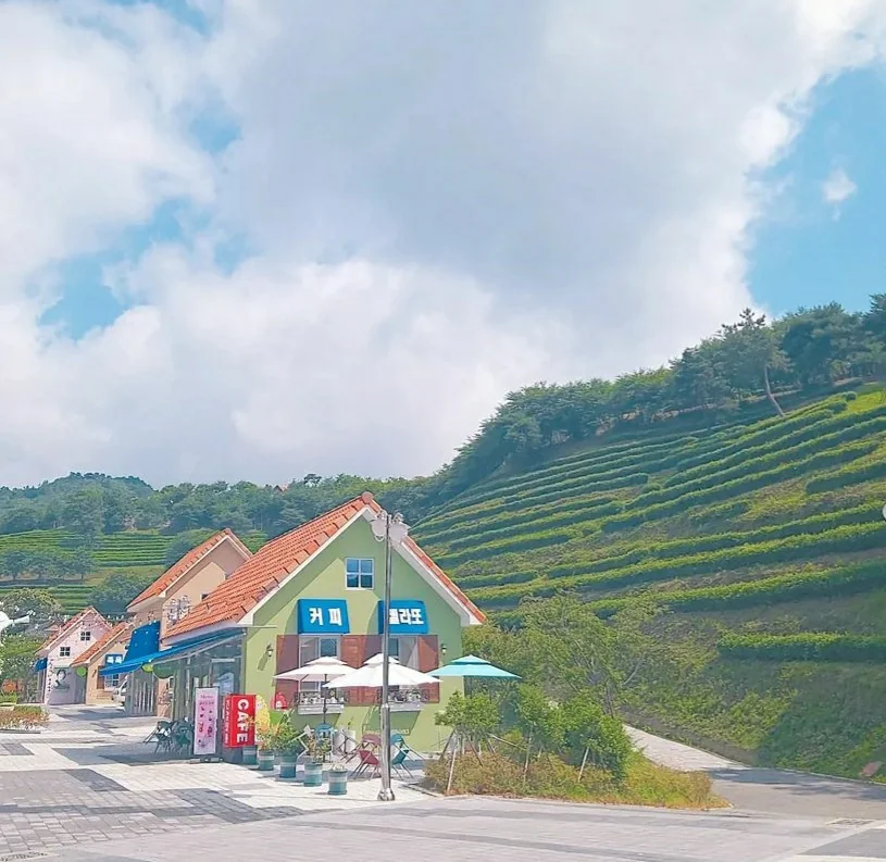 3.3카페 보성군 애견카페