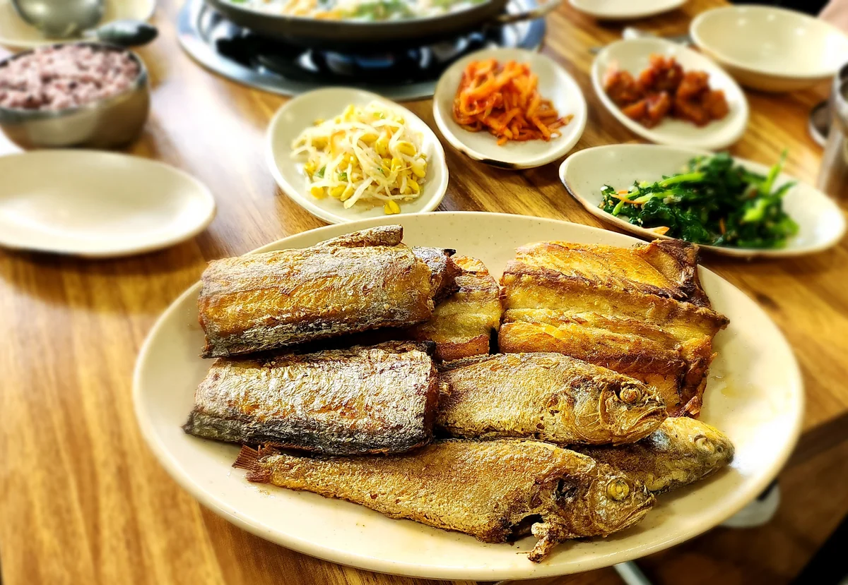 트레비 진도군 애견맛집