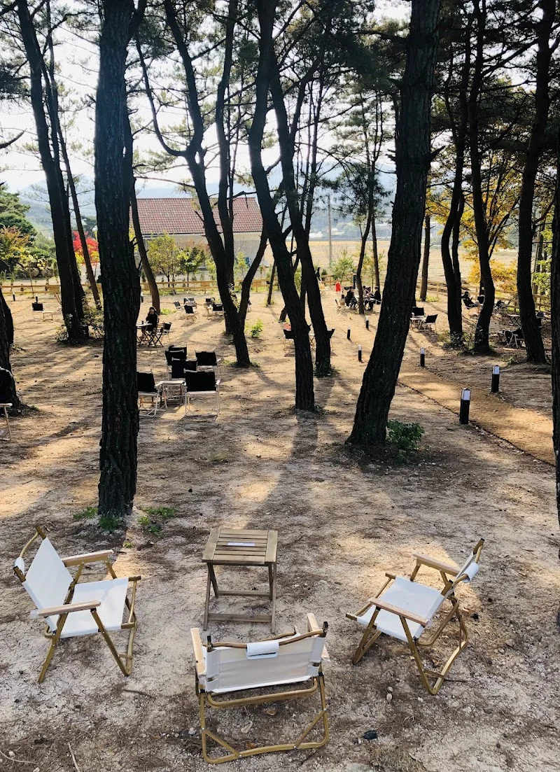 소디스커피 경주본점 경주시 애견카페