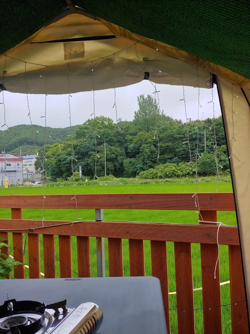 투개더 경주시 애견맛집