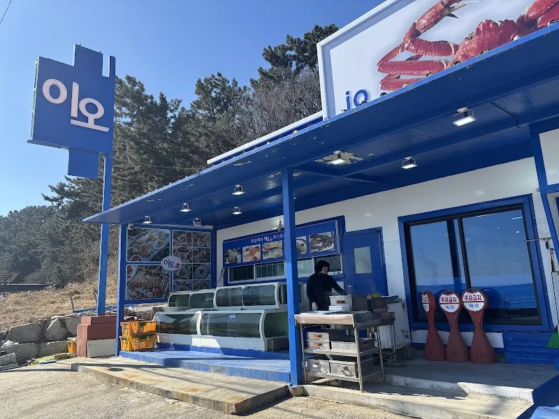 영덕강구항대게맛집이오 하저점 영덕군 애견맛집