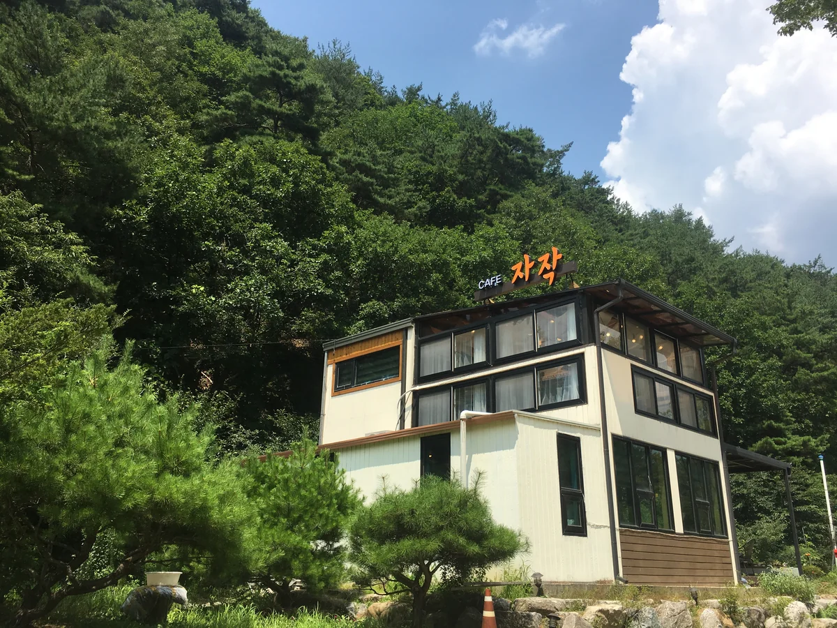 카페자작 영양군 애견카페