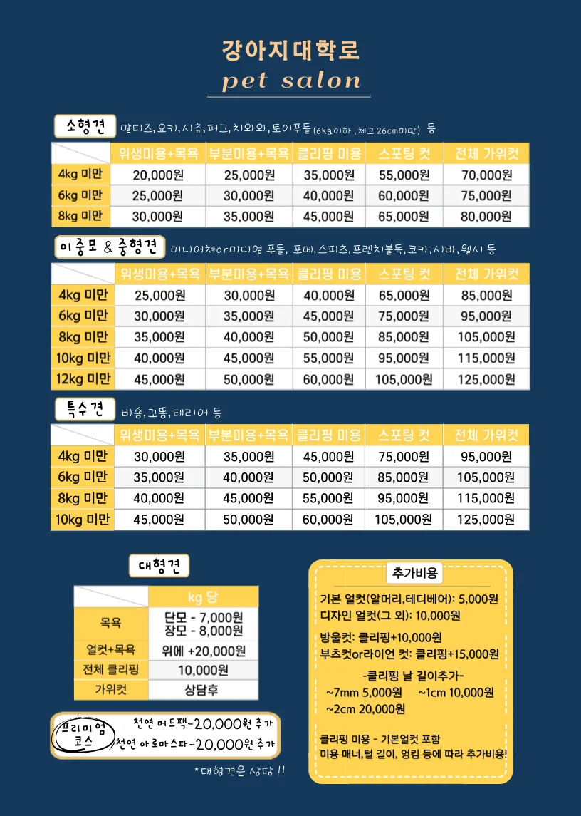 강아지대학로 종로구 애견카페